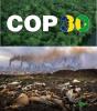 /cop-30-capitalism-mein-climate-conservation-ki-baat-bas-ek-jumala