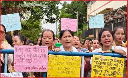 /chai-bagan-majdooron-ke-anashan-andolan-ke-100-din